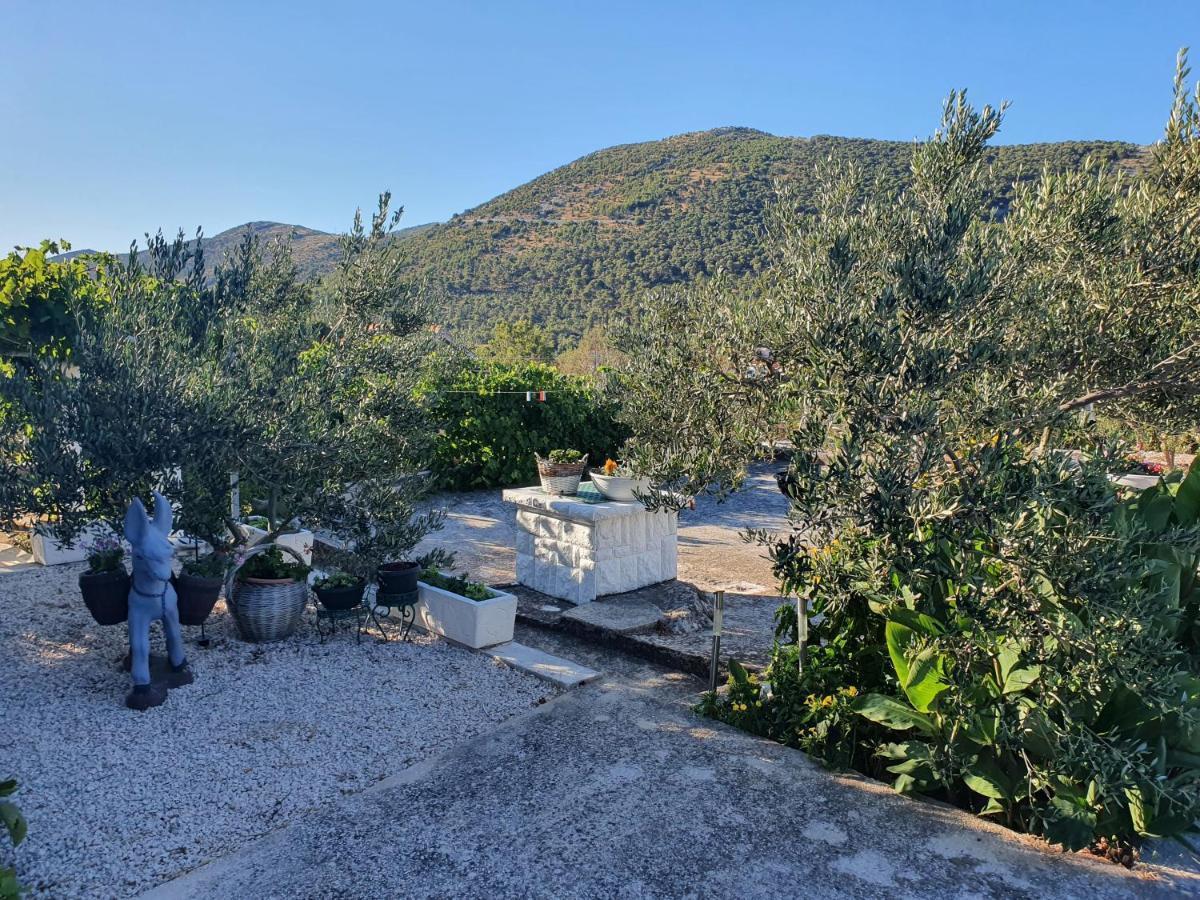Apartman Mare Šibenik Kültér fotó